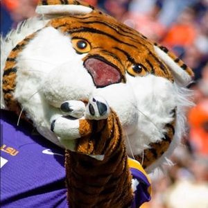 Meet your Posher, Bernadette